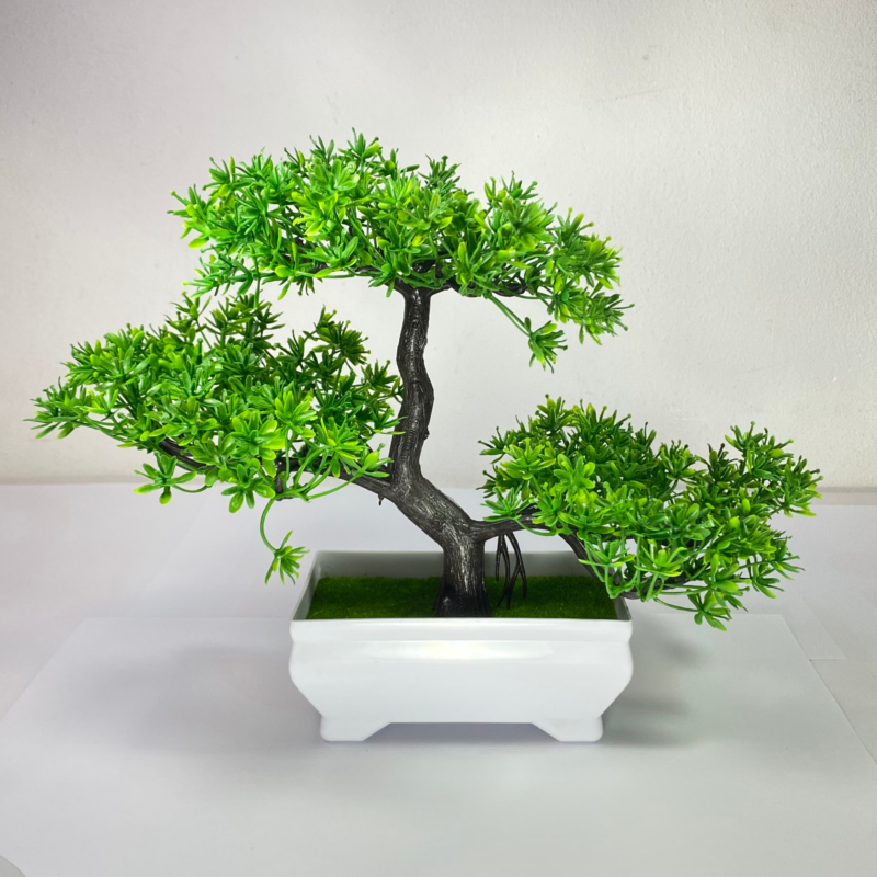 Bonsai verde